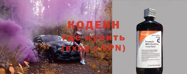 прущие грибы Козловка