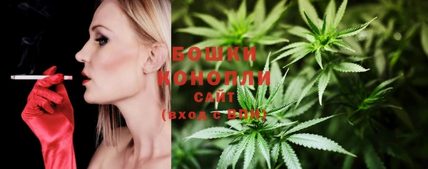 прущие крисы Козельск