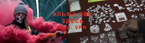 прущие грибы Козловка
