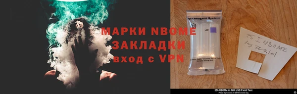 прущие грибы Козловка