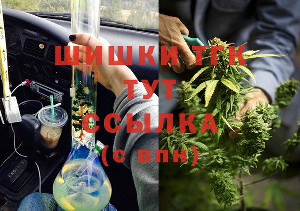 прущие грибы Козловка